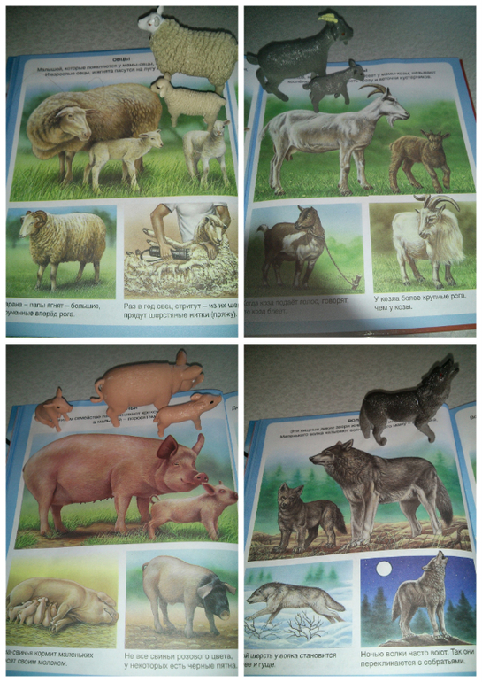 Наши игры с животными)