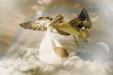 Я буду верить в мечту!