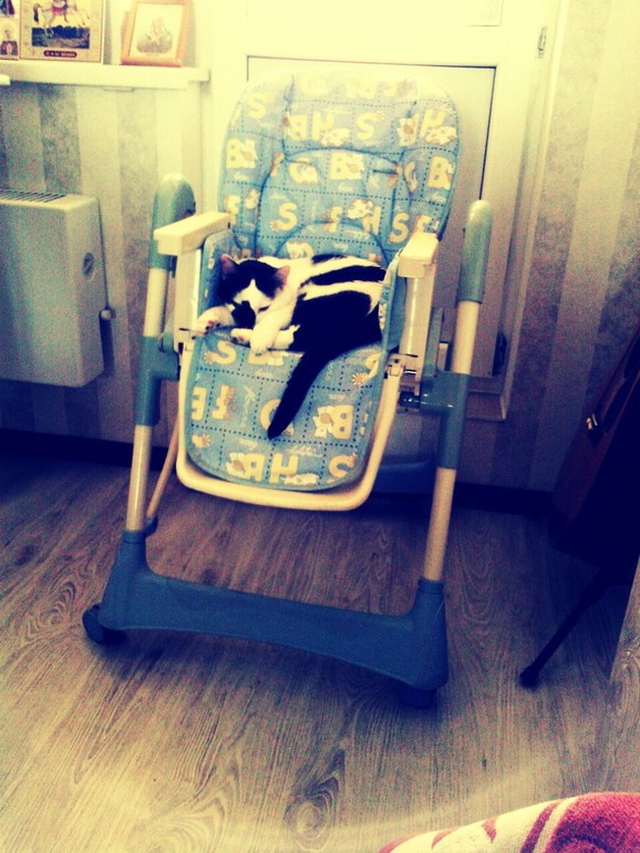 Мне сейчас коза сказала,что у нас тут мееееста мало )