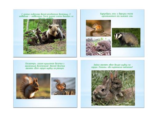 Тематическое занятие Весеннее солнышко