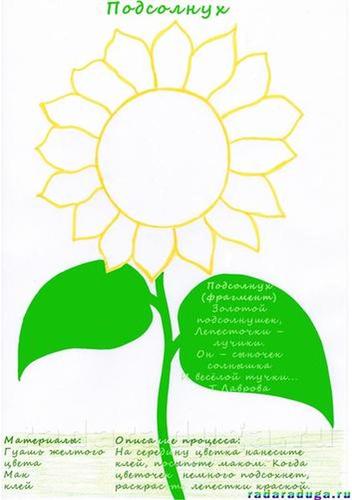 Летний альбом. Часть 1. Цветы. Творчество.