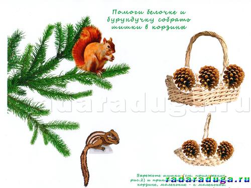 Тематическое занятие Шишки