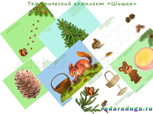 Тематическое занятие Шишки