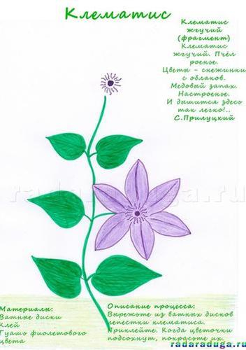 Летний альбом. Часть 1. Цветы. Творчество.