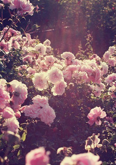 Настроение