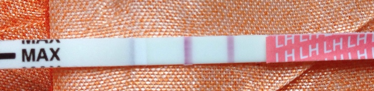 Я извиняюсь !