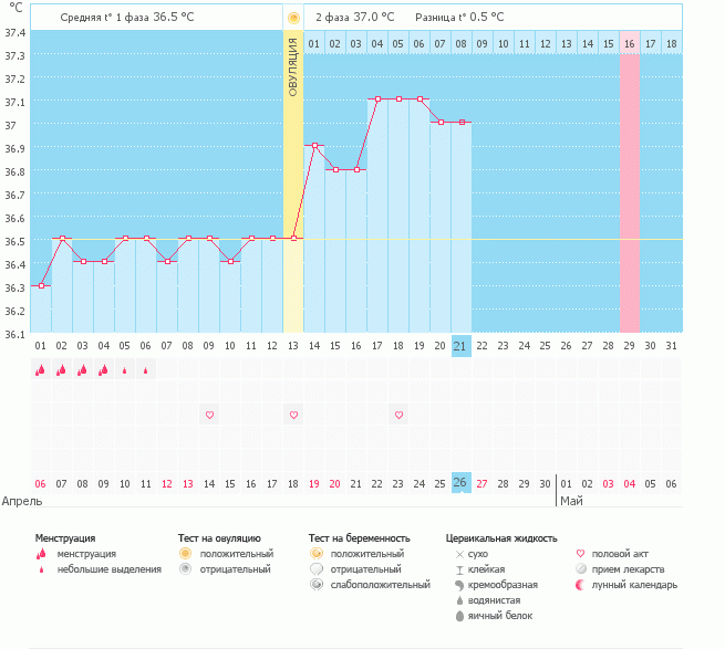 В какой день была овуляция?