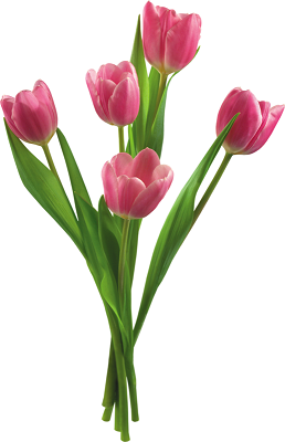 ee7430ce5a2c95306424d992831b6824.png