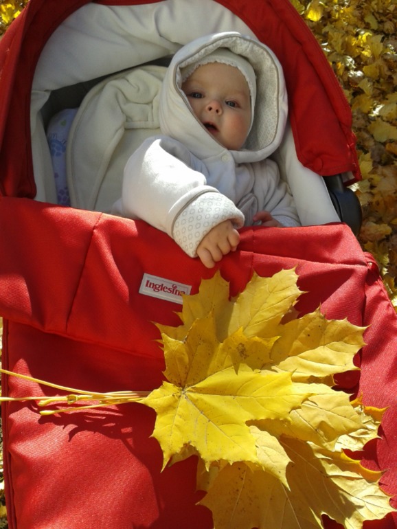 растем: 7 месяцев