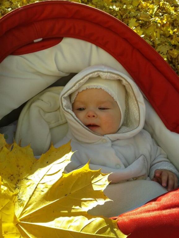 растем: 7 месяцев