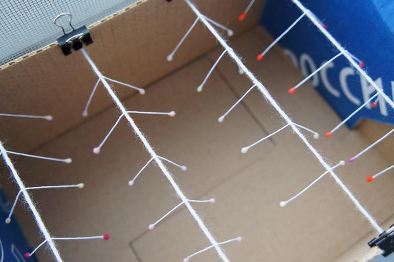 Тычинки по МК