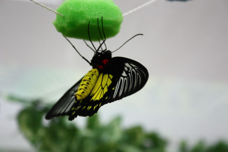 Насыщенный вышел денёк!!!