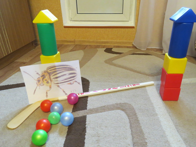 ТН "Как растут овощи" Отчет день 4