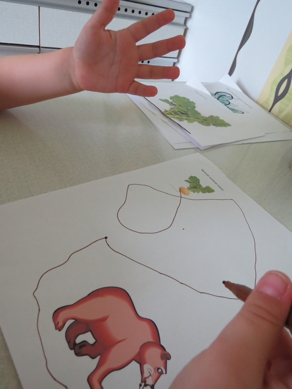 ТН "Как растут овощи" Отчет день 3