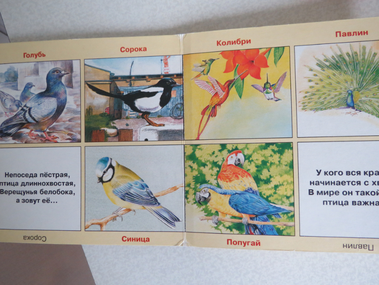 ТН "Как растут овощи" Отчет день 4