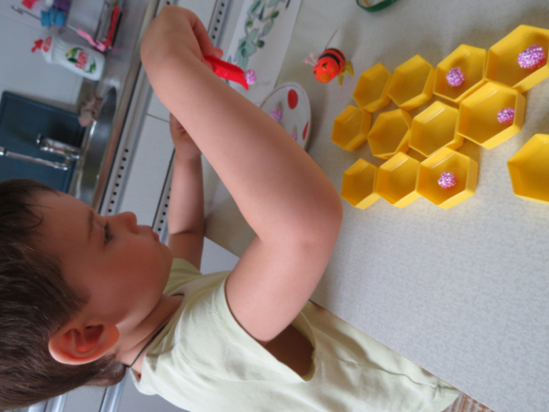 ТН "Как растут овощи" Отчет день 4