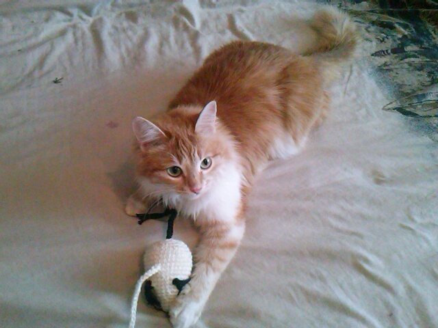 Знакомьтесь! Матильда!