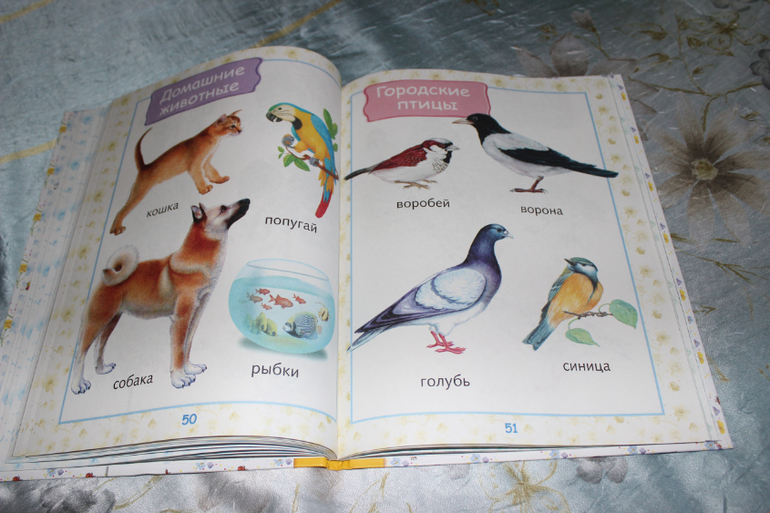 Наша книжная полка