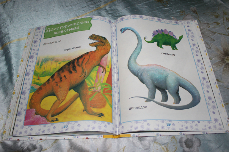 Наша книжная полка