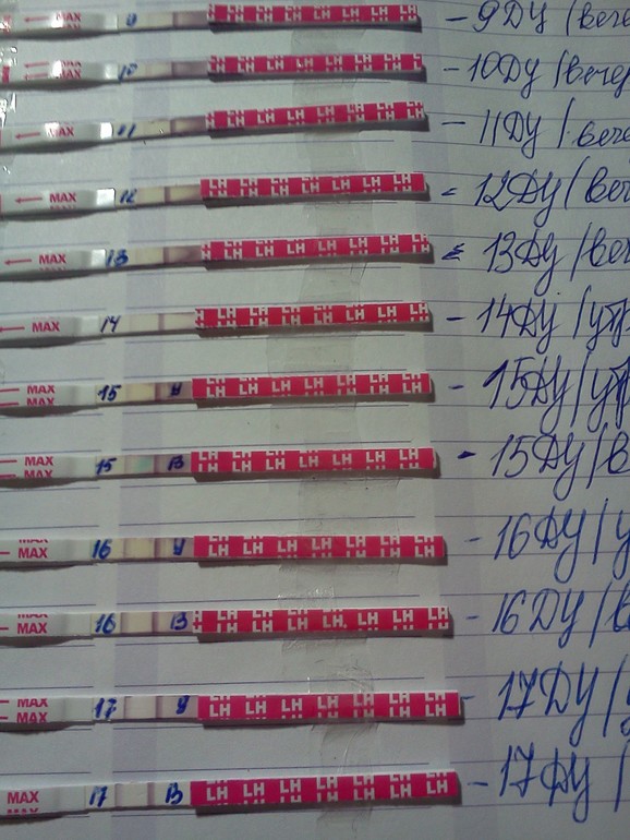 Пробная ловля овульки (продолжение поста).