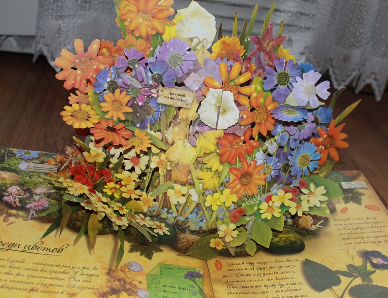 Наши книжечки или что мы читаем в год и 11 мес.