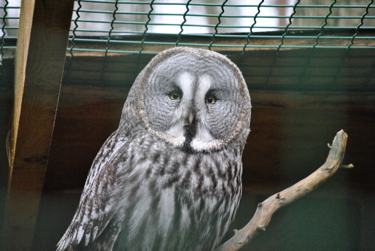 Новый  2014 Год в Латвии (Рига, Юрмала)