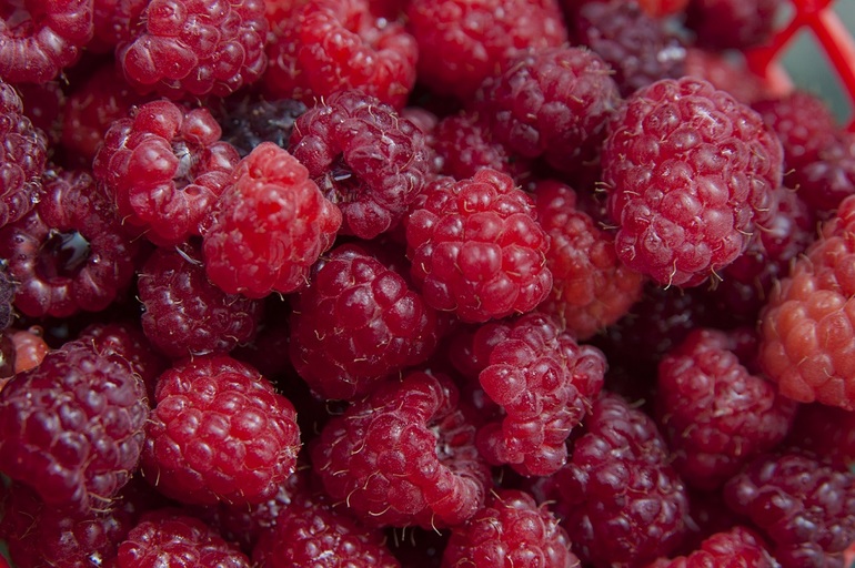 ...По ягоды... =)