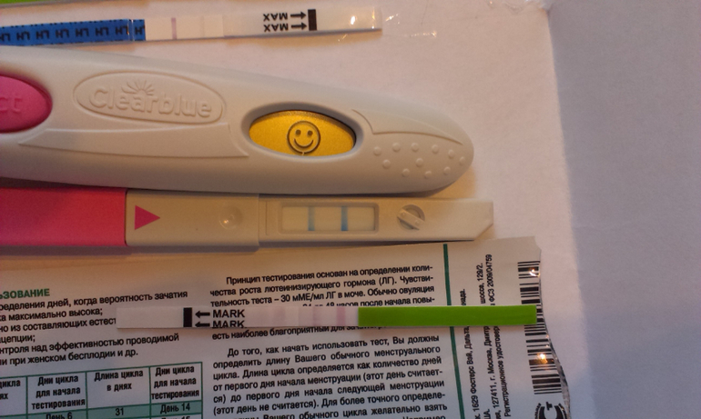 Ура! А вот и она, овуляция!!!