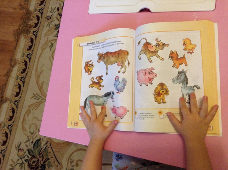 Домашние животные