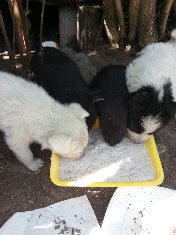 очень нужна помощь!