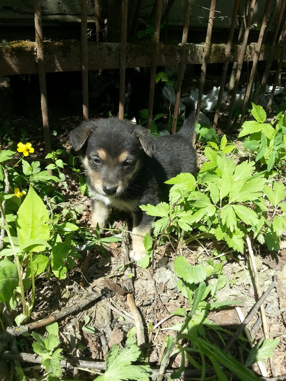 очень нужна помощь!