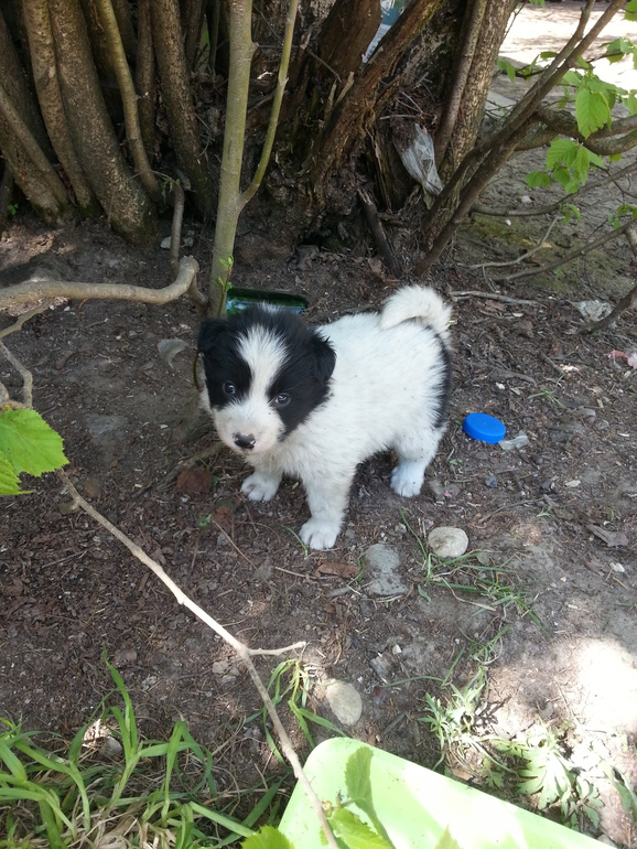 очень нужна помощь!