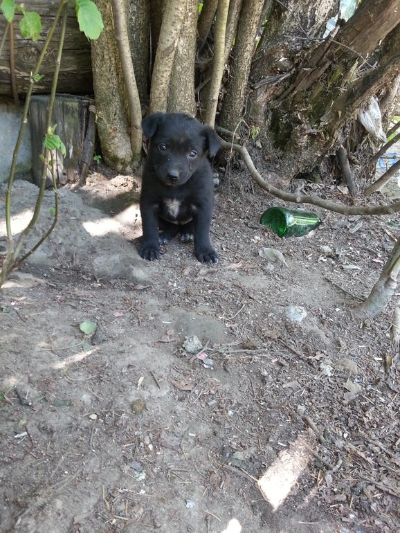 очень нужна помощь!