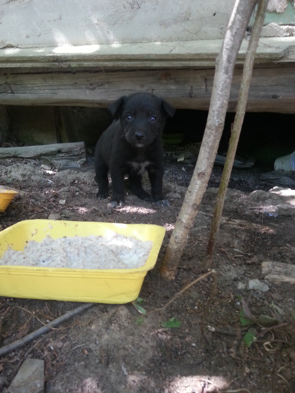 очень нужна помощь!