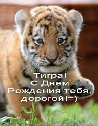 c0712d3077b5e08c9e4732fcce89ae69.jpg