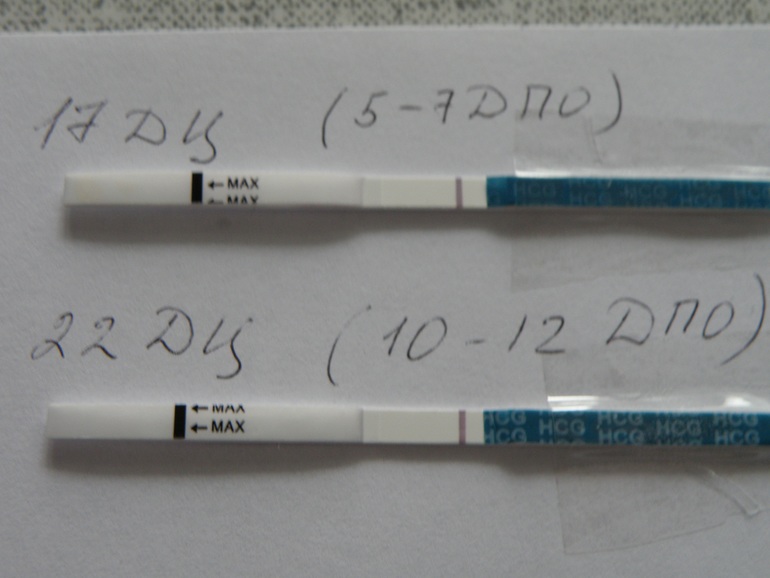 Дпо тест отрицательный. 12 ДПО тест. На 12 день после овуляции тест отрицательный. Тест на 12 день после овуляции. 10 ДПО тест отрицательный.