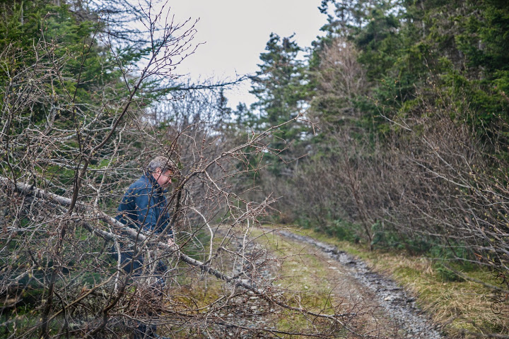 С ветерком по Nova Scotia