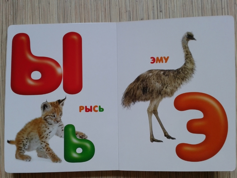 Живой алфавит с крупными буквами