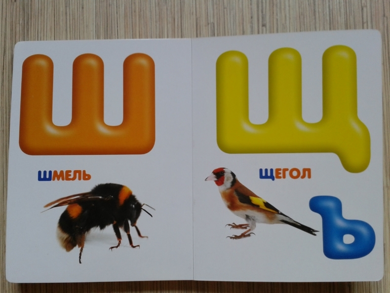 Живой алфавит с крупными буквами