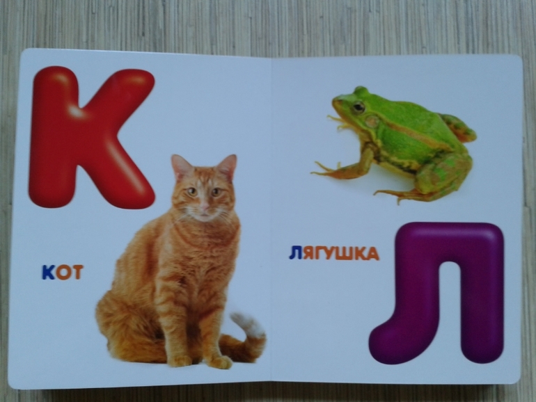 Живой алфавит с крупными буквами