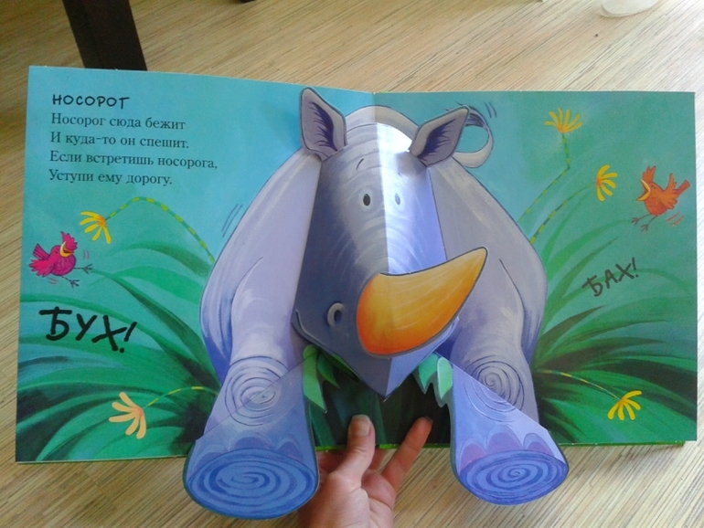 Подробнее про книжечки