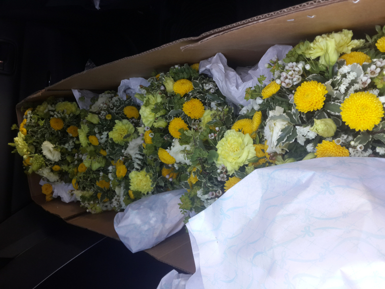 Из последних событий