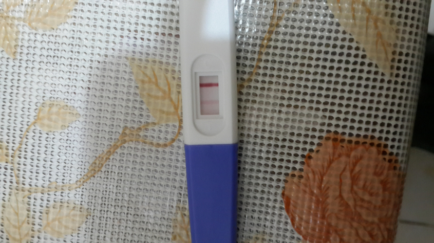 13 ДПО