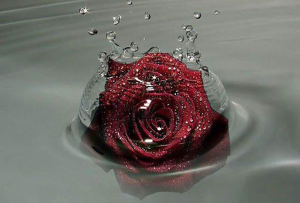 18826fa7935ee45c2d58c33c65e99636.jpg
