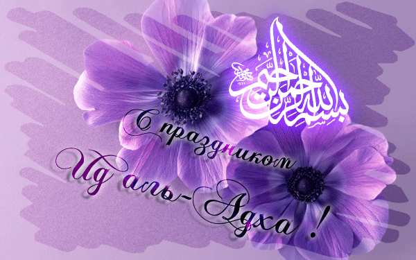 6f336a8c8af4f50532d0b87bb9c26129.gif