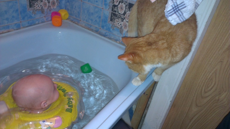 Вечер. Малыш.