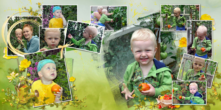 Выношу на суд