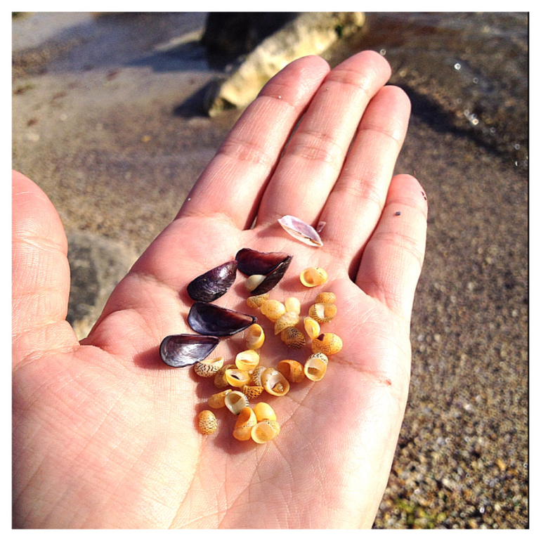 Просто прогулка...