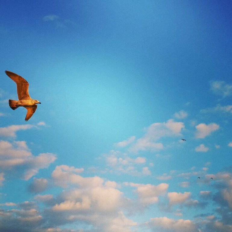 Несколько минут, взгляд