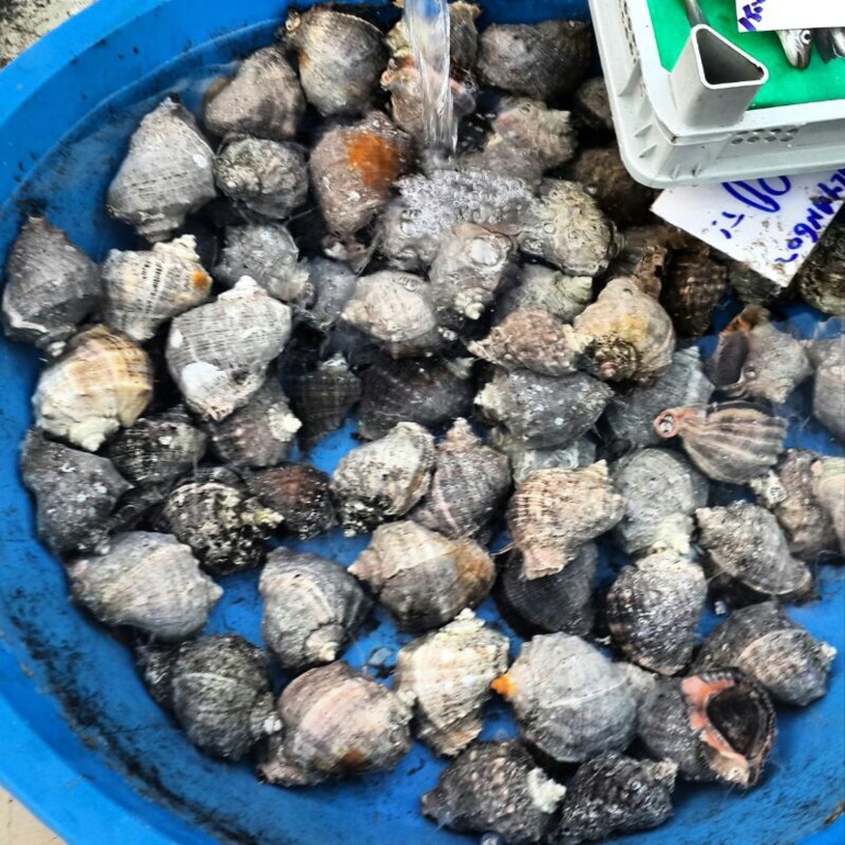 И снова рыбный базар....